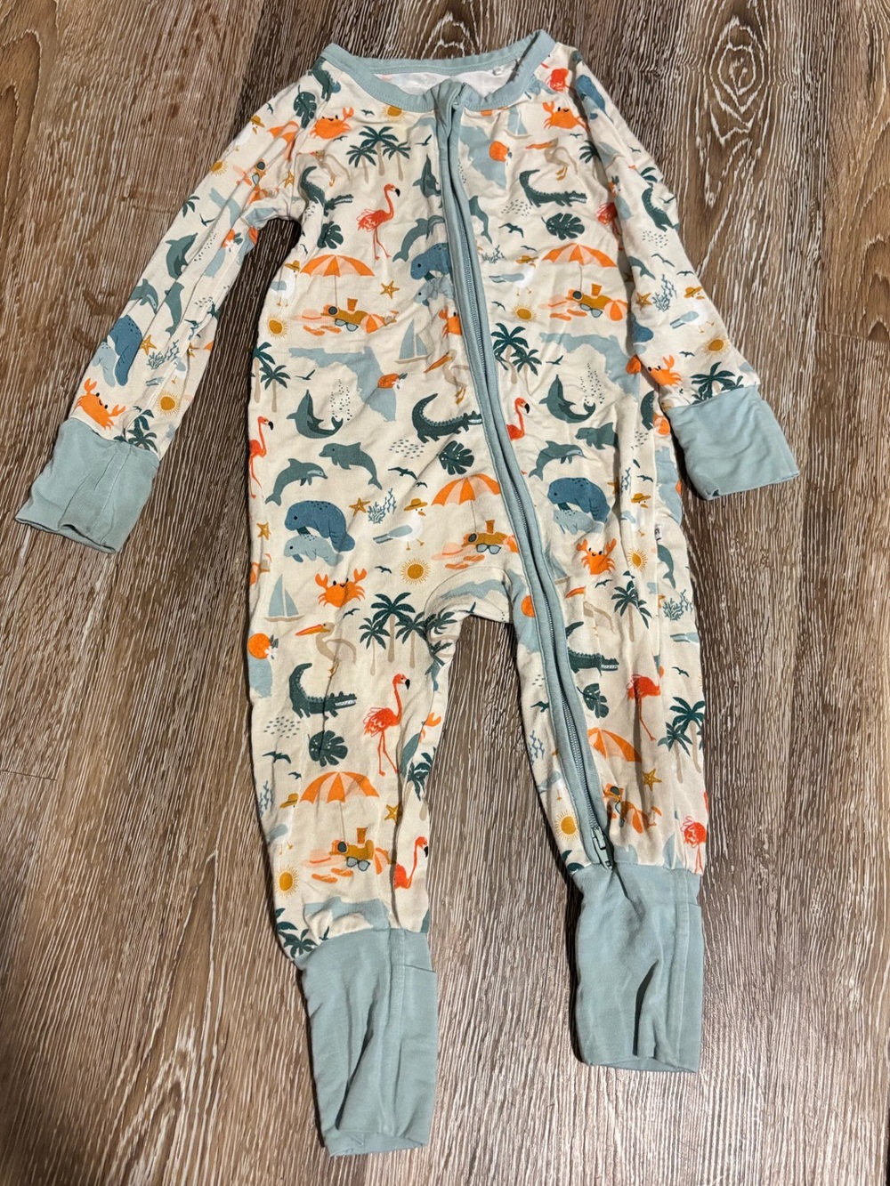 Emerson and Friends Florida onesie